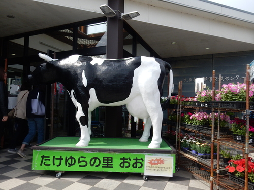 ’16,4,8(金)大多喜城のお花見・食事編!_f0060461_9164254.jpg