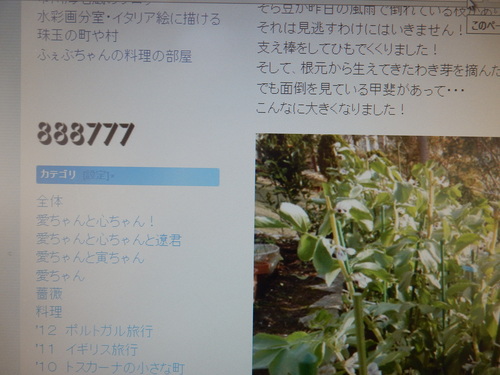 ’16,4,8(金)大多喜城のお花見・食事編!_f0060461_9312164.jpg