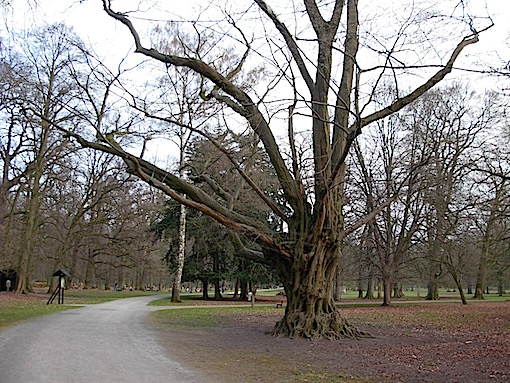 e0357367_00594.jpg