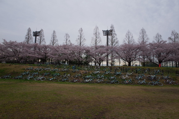 a0232368_06010292.jpeg