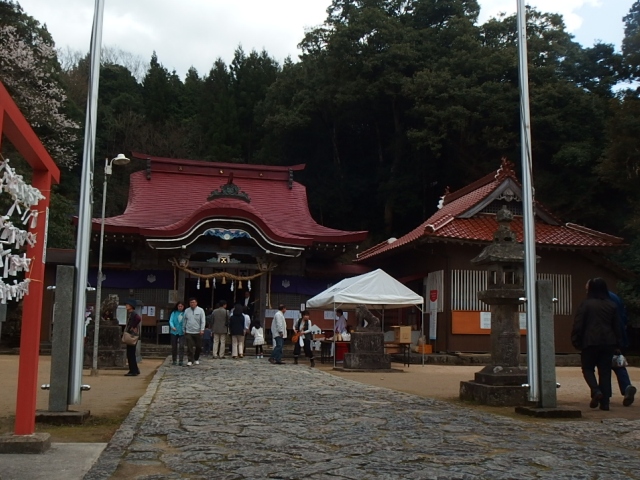 徳佐八幡宮の桜_d0177570_2338714.jpg