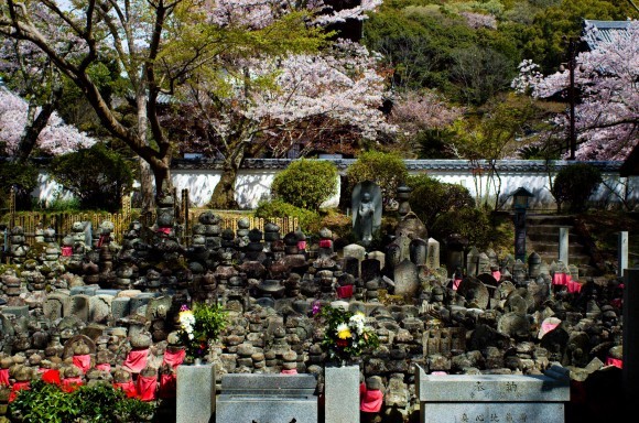 近畿三十六不動尊　第３４番　一乗山大伝法院根来寺_c0260772_11490470.jpg