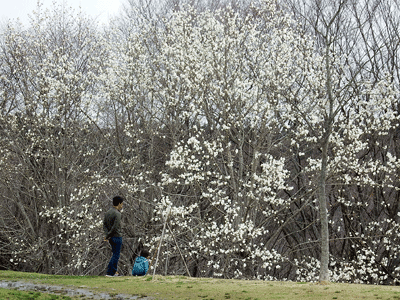 f0140773_1030495.gif