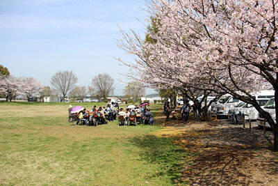 娘たちのお花見～♪　　4/2_c0152779_20375870.jpg