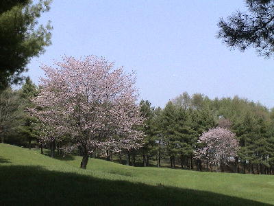 c0171889_1634486.jpg