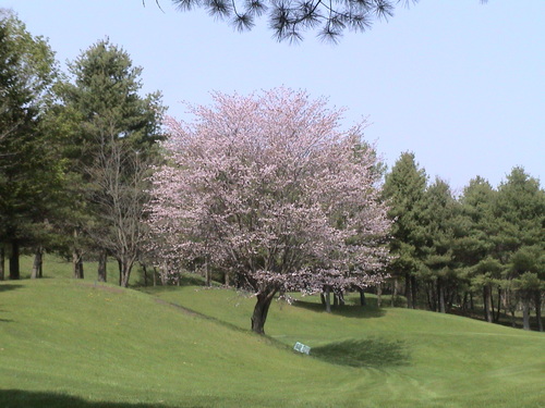 c0171889_1665942.jpg