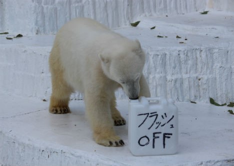 イッちゃん　フラッシュOFFポリタン_f0297893_194447.jpg