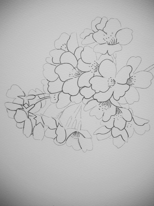 カルチャー教室の桜の詳しい描き方 小林啓子水彩画の部屋