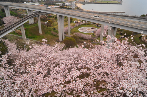 春のしまなみ海道サイクリング_a0206496_7314678.jpg