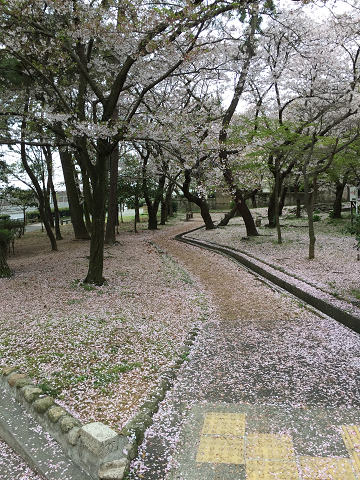 b0362900_21453951.jpg