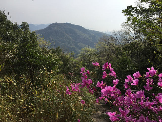 b0362900_21583237.jpg