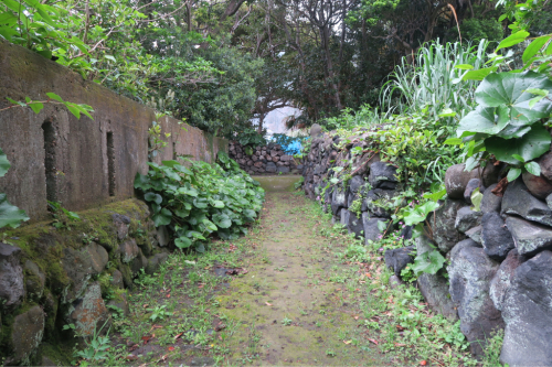 d0147406_15281902.jpg