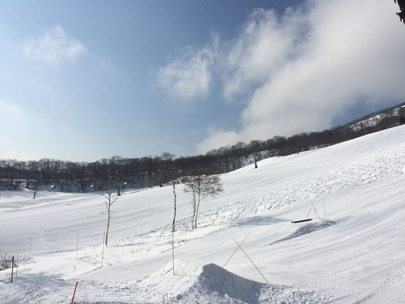 f0051306_15553373.jpg