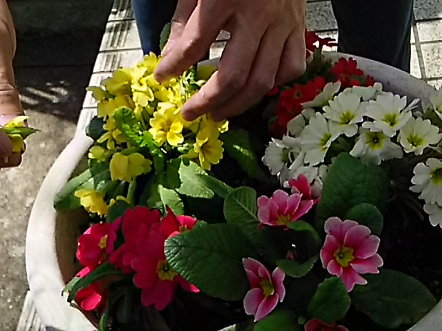 f0024708_12535666.jpg