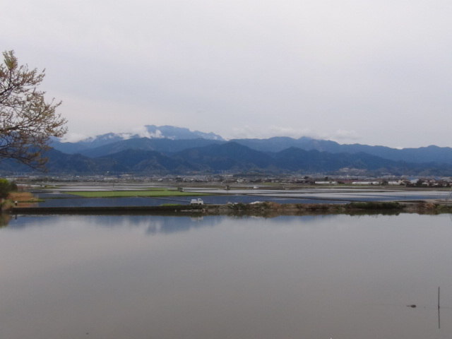 f0231709_1541790.jpg