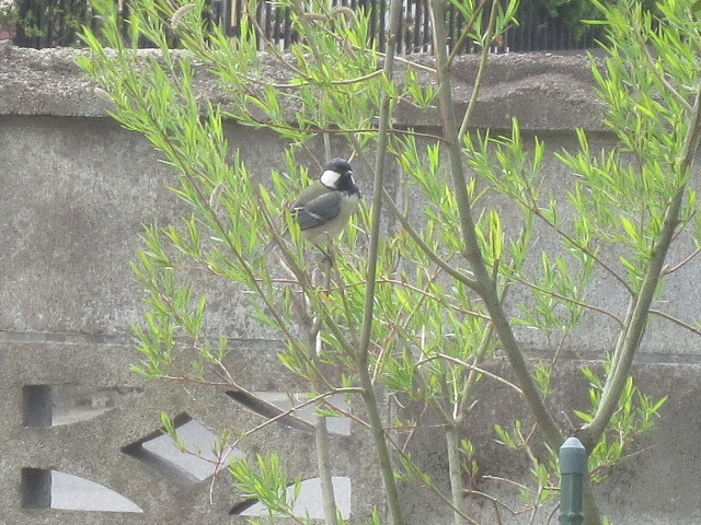 f0248616_10054774.jpg
