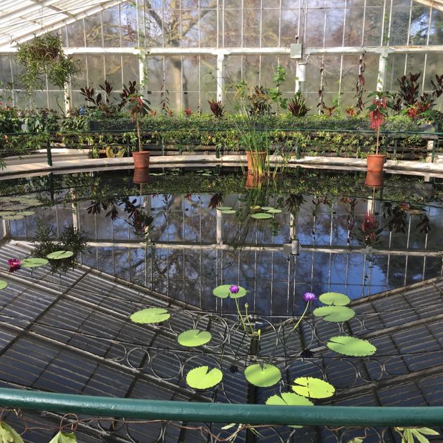 Kew Garden_f0123922_641451.jpg