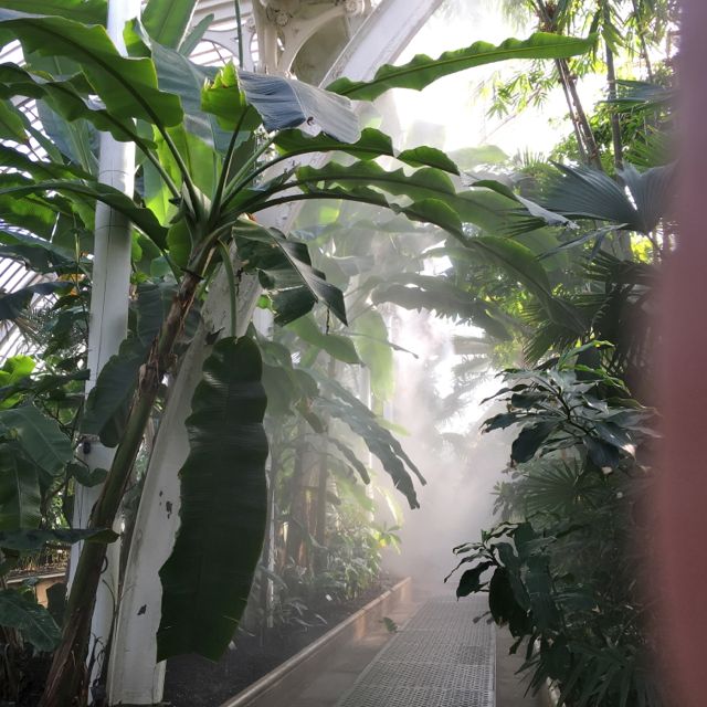 Kew Garden_f0123922_644318.jpg