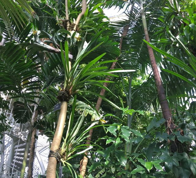 Kew Garden_f0123922_645189.jpg