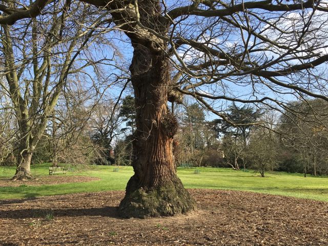 Kew Garden_f0123922_6495212.jpg