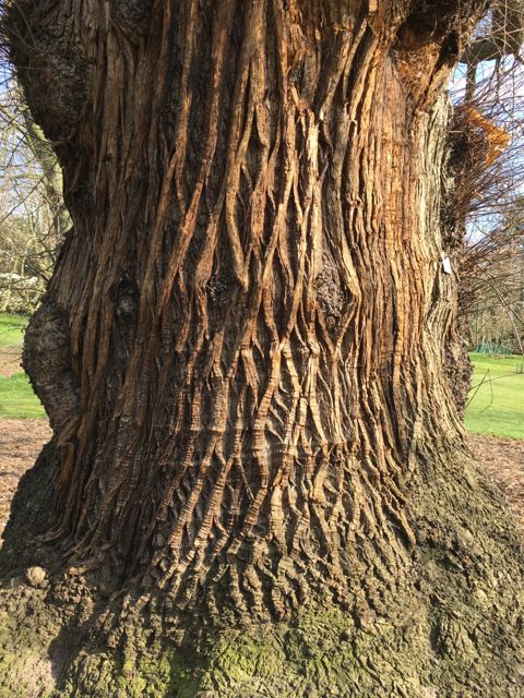 Kew Garden_f0123922_651039.jpg