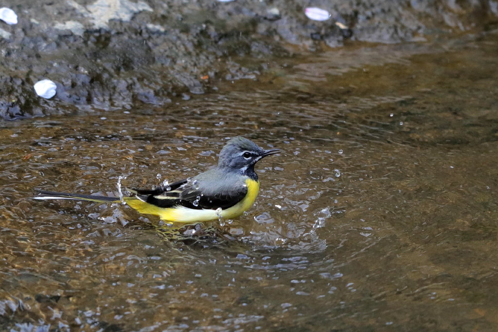 b0179023_2032510.jpg