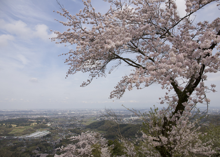 花見ハイキング_e0238623_18543486.jpg