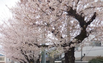 f0289431_1622191.jpg