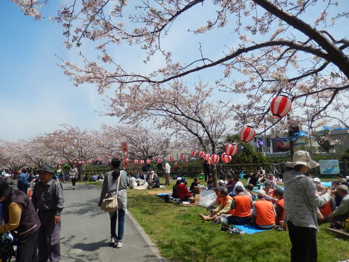 桜まつり..晴天です。_b0137932_13133249.jpg