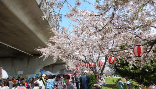 桜まつり..晴天です。_b0137932_18025.jpg