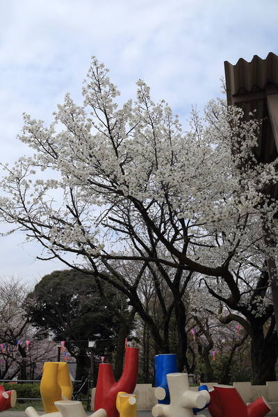 f0229832_16131671.jpg