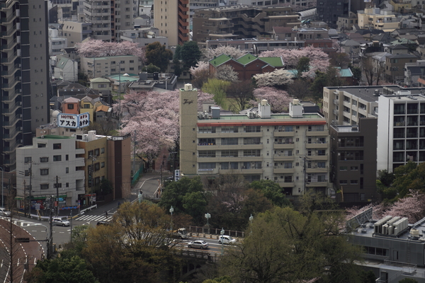 f0229832_16174996.jpg