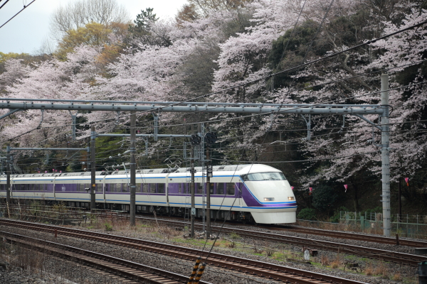 f0229832_16213223.jpg