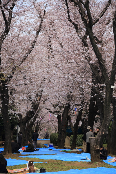 f0229832_1664196.jpg