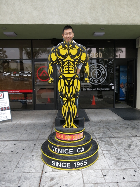 ゴールドジム ベニス1号店 : 徒然なる日々