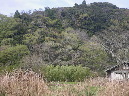 a0123836_17155339.jpg