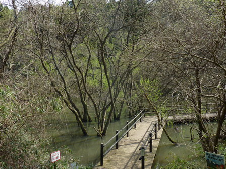 a0123836_17165842.jpg