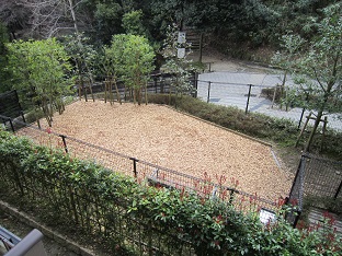 b0177436_21304097.jpg