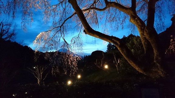 秩父宮記念公園さまでの個展が終了いたしました。_b0089338_19303721.jpg