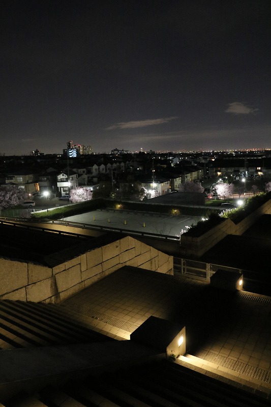 d0313140_21583726.jpg