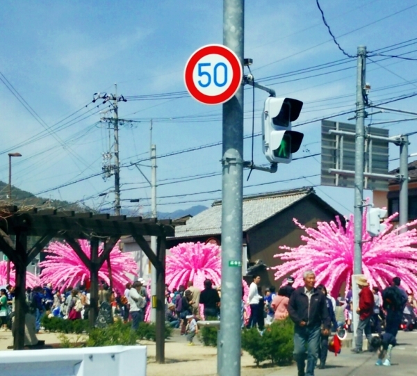 ふるさと納税のお返しに…_a0272042_14555890.jpg