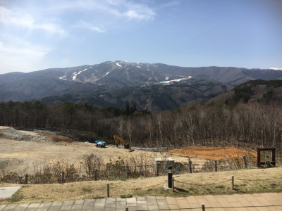 いい天気♪_a0258349_13462096.jpg