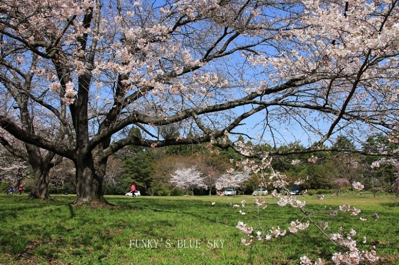 c0145250_16270399.jpg
