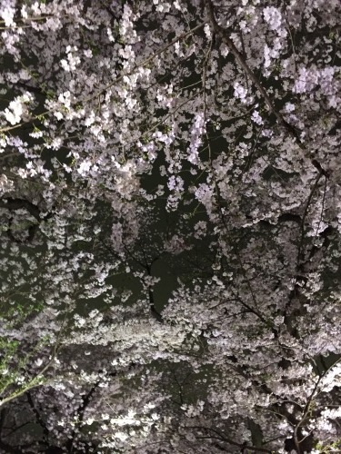 c0274350_02453789.jpeg