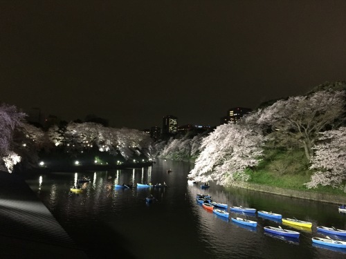 c0274350_02481892.jpeg