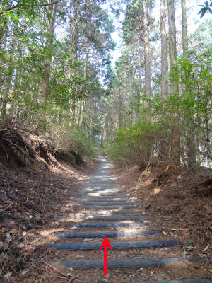 e0033751_18555067.jpg