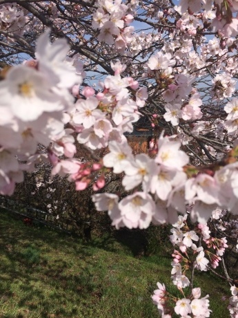 b0204453_12552095.jpeg