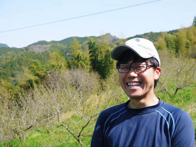 山あいの南高梅 南高梅が膨らみ始めました!まもなく整理落下が始まります! _a0254656_1916635.jpg