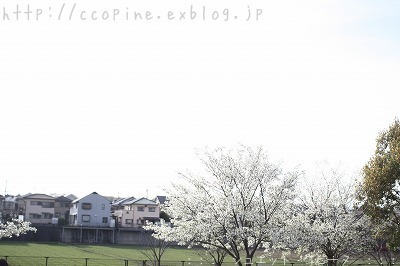 c0360661_20405234.jpg