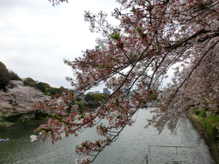 b0190666_00565552.jpg